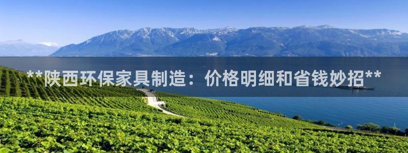 杏耀测速登录地址