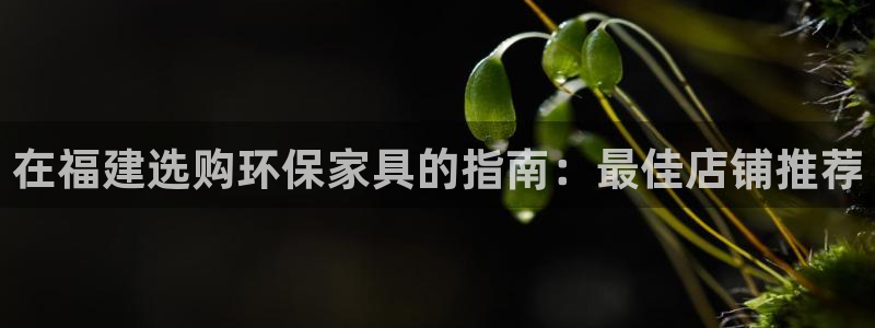 杏耀注册主管：在福建选购环保家具的指南：最佳店铺推荐