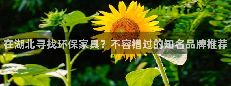 杏耀代理1980