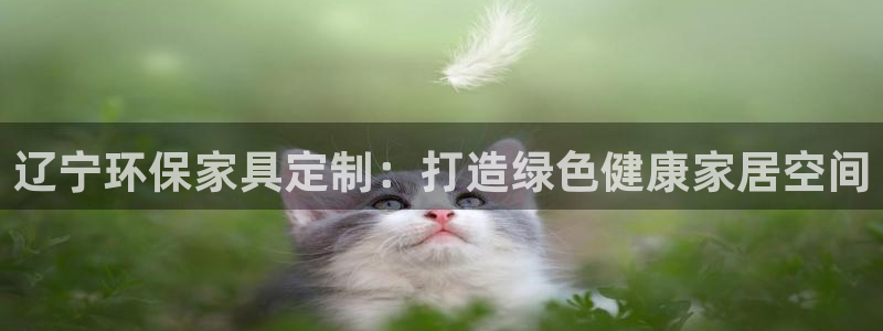 杏耀怎么注册：辽宁环保家具定制：打造绿色健康家居空间