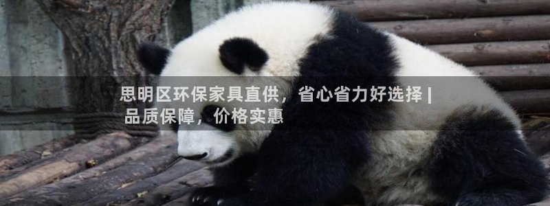 杏耀官网注册：思明区环保家具直供，省心省力好选择 |
 品质