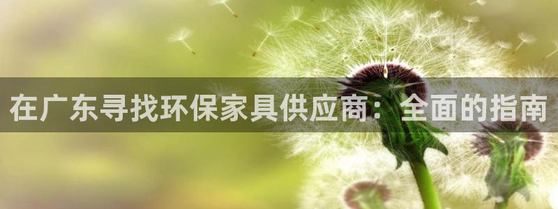 杏耀平台登录网址：在广东寻找环保家具供应商：全面的指南