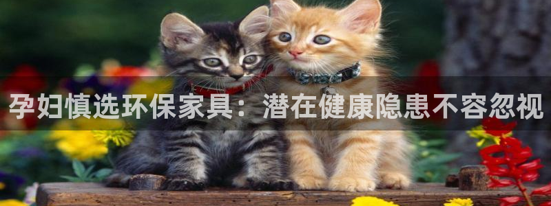 杏耀平台娱乐登陆