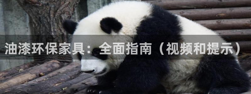 杏耀平台登陆测速