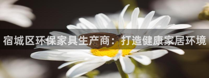 杏耀登陆线路