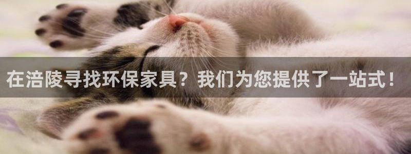 杏耀平台代理怎么赚钱快