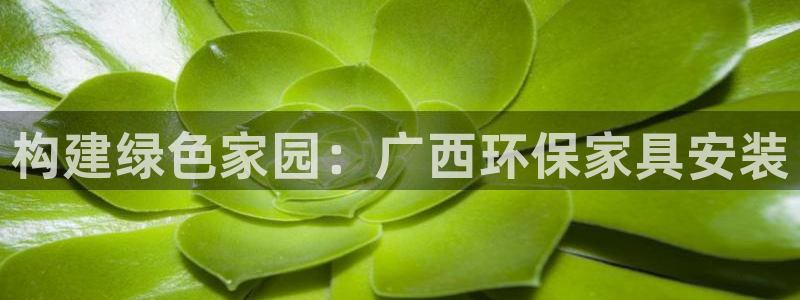 杏耀平台几年了