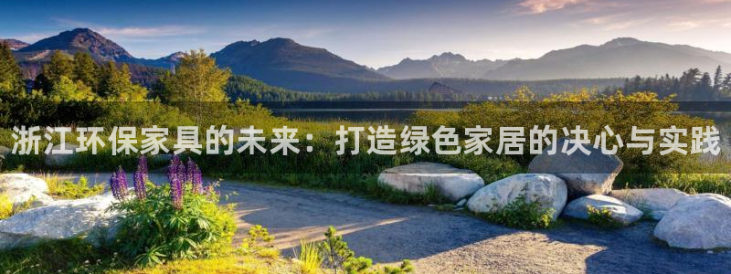 杏耀平台可以提款吗：浙江环保家具的未来：打造绿色家居的决心与