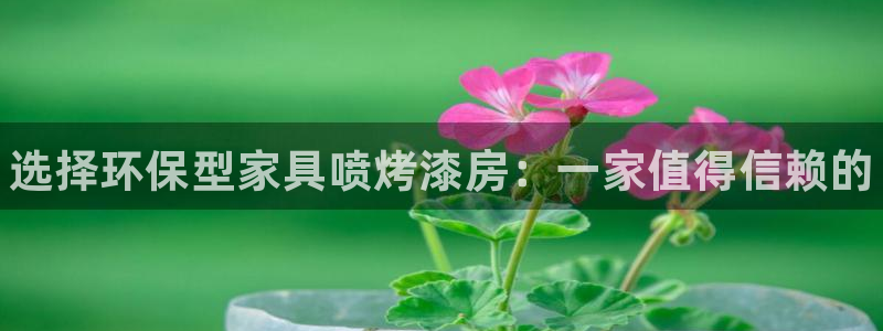 杏耀官网注册：选择环保型家具喷烤漆房：一家值得信赖的
