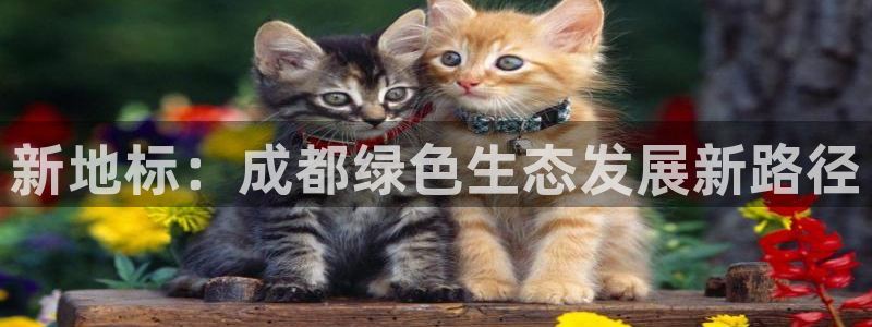 杏耀平台代理登录网址是多少：新地标：成都绿色生态发展新路径