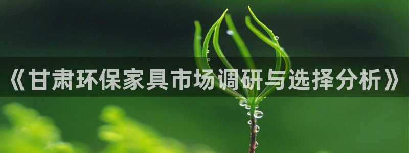 杏耀平台登录首页：《甘肃环保家具市场调研与选择分析》