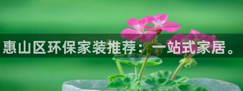 杏耀注册登录中心：惠山区环保家装推荐：一站式家居。